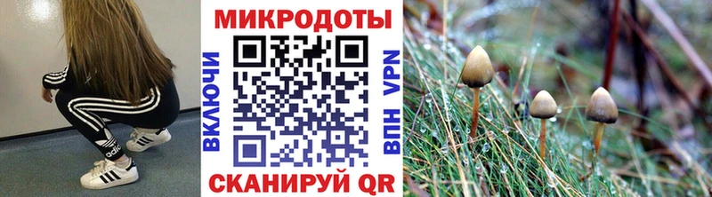 Псилоцибиновые грибы MAGIC MUSHROOMS  площадка какой сайт  Заринск 